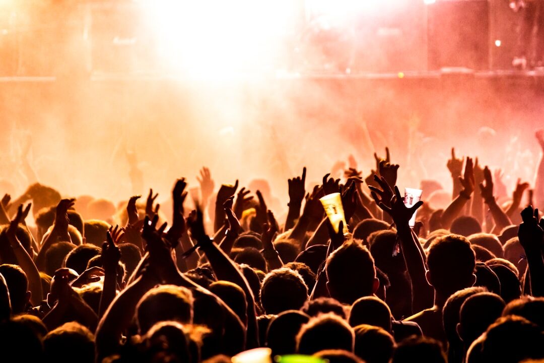 audience at concert
